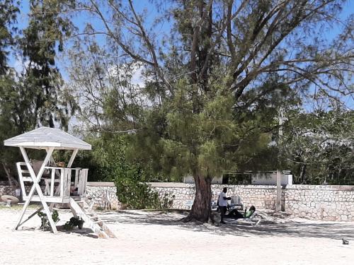 Dancehall Hostel Cottage