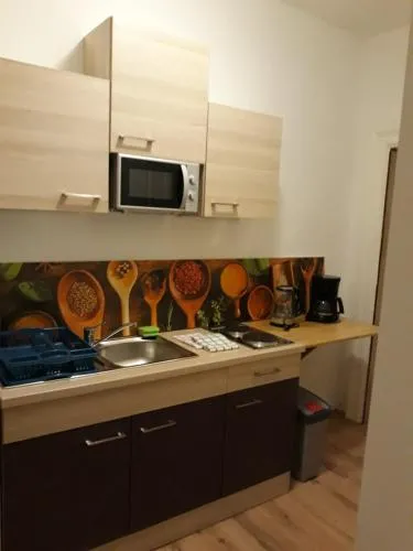 Astoria Central Appartement 10 minutes to downtown long term stay also possible in Wien, Österreich