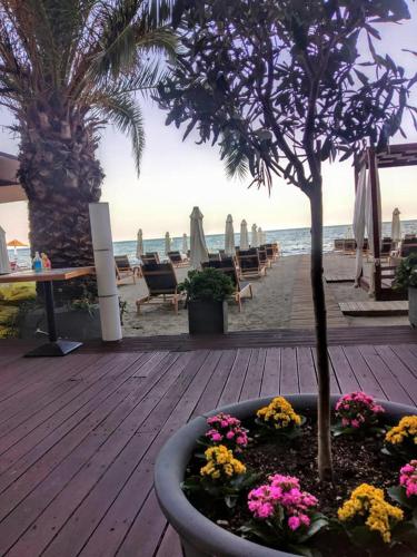 Kymata, Paralia Katerinis (foto 10)