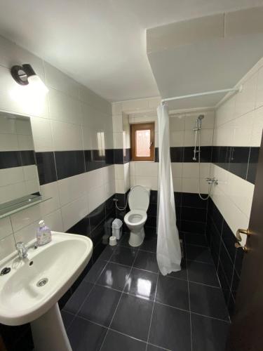 Vila Sorina - image 10