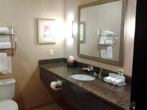 Holiday Inn Express Hotel Vernal an IHG Hotel - image 4