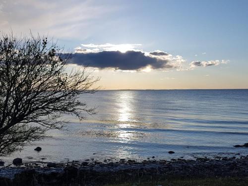 Sjöstugan, Öland - fantastiskt läge nära havet!