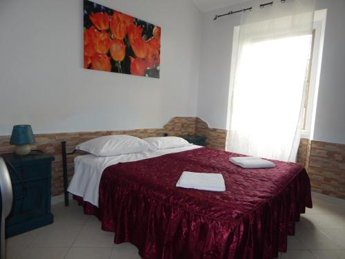 House in the countryside of Rome - image 11