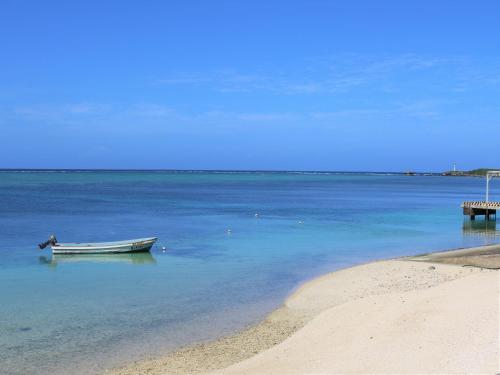 Fukugi Terrace In Japan