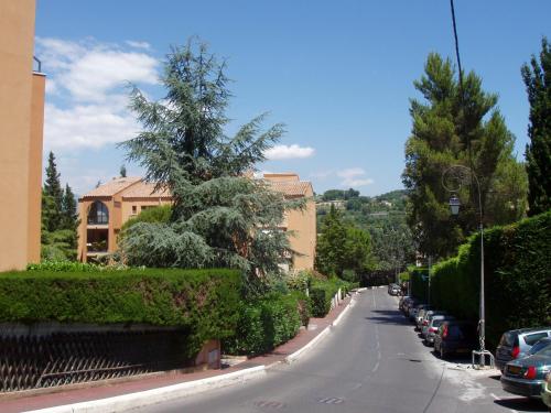 . Paradisier Apartment Mougins