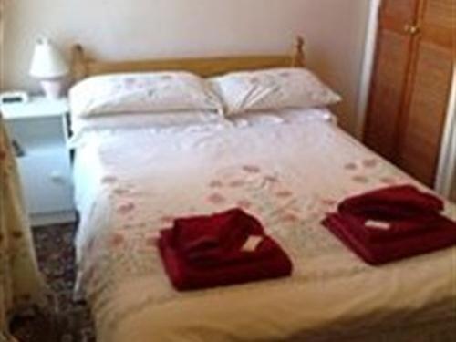 Richmond Hotel - image 4