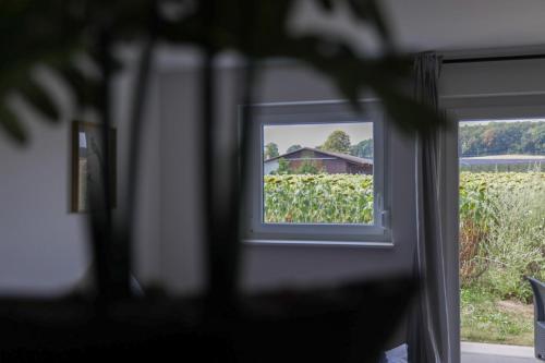 Cozy Apartments Busingen am Hochrhein with terrace