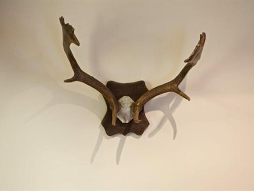 The Sun Inn - image 10