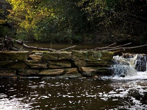 The Sun Inn - image 12