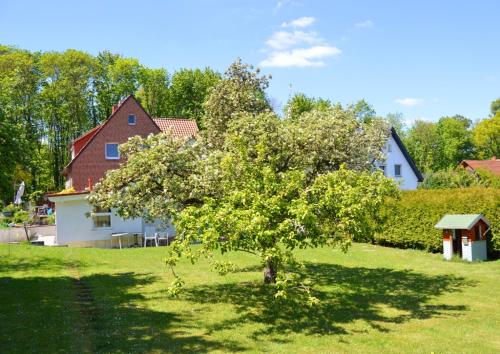 Ferienwohnung Waldblick Bückeburg - Apartment