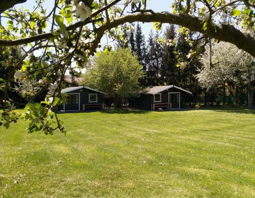 Camping & Guest House Pliskovice