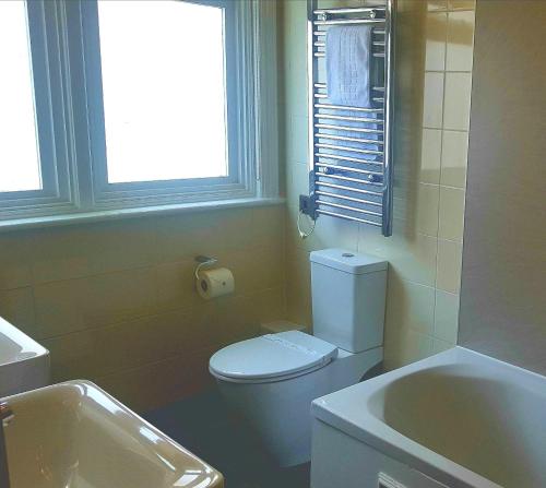 海豚酒店 海豚酒店