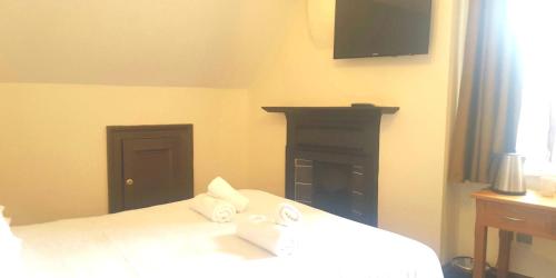 海豚酒店 海豚酒店