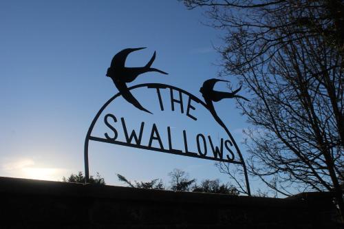 The Swallows