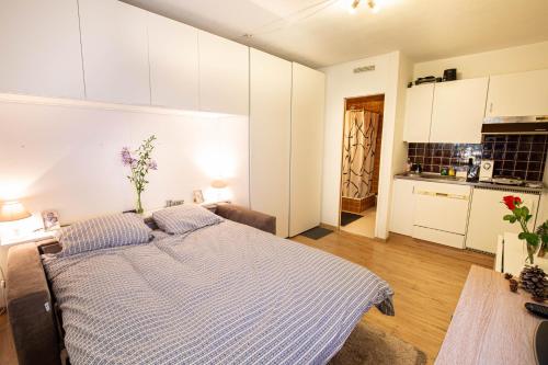Studio Montana in Crans-Montana, Schweiz