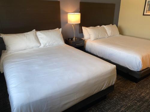 Cobblestone Inn & Suites - Forest City - image 4