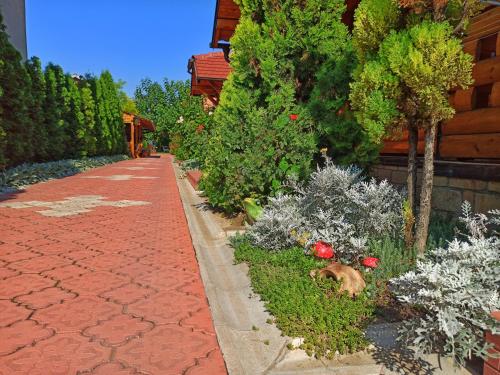Eko Apartmani - image 6