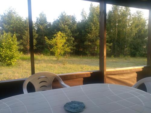 Paupio namelis prie Vorutos / Riverside cabin in Anyksciai