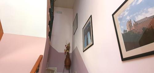 Hospedaje Bar El Gato del Acueducto - 숙소 외관