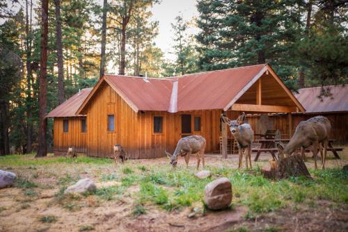 Corkins Lodge