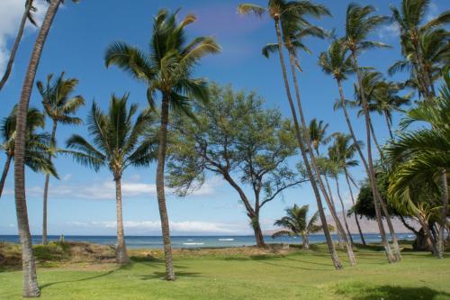 Hale Kai O'Kihei 120 - image 6