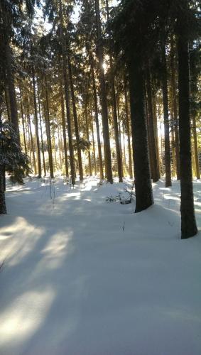 Schwarzwald geht immer Fewo 60 qm mit großem Südbalkon, WLAN und Magenta TV