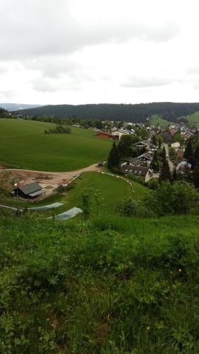 Schwarzwald geht immer Fewo 60 qm mit großem Südbalkon, WLAN und Magenta TV