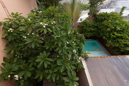 265327242 Hotel Boutique Casa San Angel