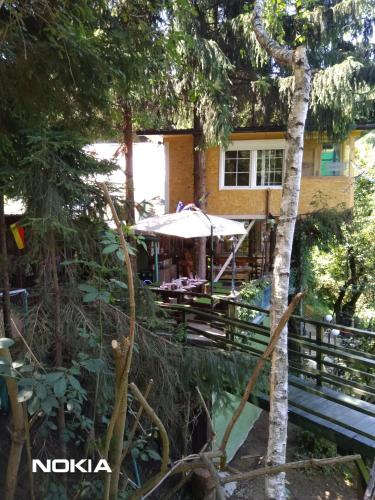 tree house in Visoko