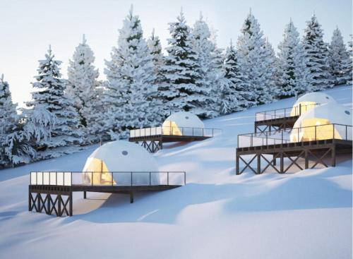 Iivaara Wilderness Lodge