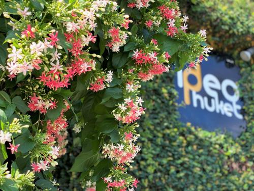 Ideo Phuket Hotel