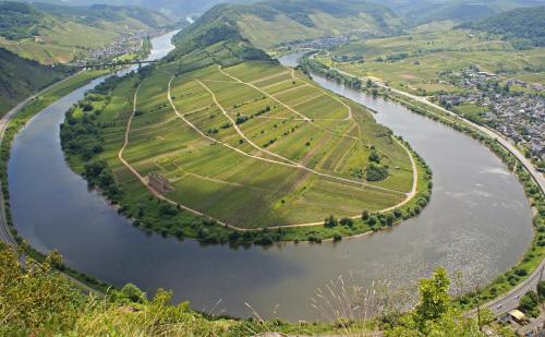 Moselblick am Waldrand in Traben-Trarbach, Deutschland