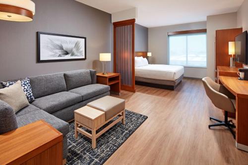 1 king bed, 1 sofa bed