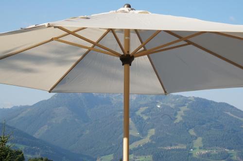 Hotel Ramsaueralm - image 2