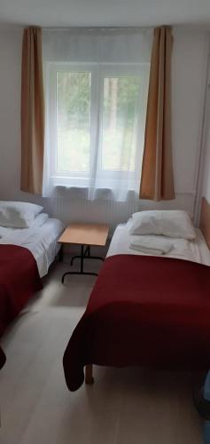 HOSTEL CPPI Nord - Accommodation - Busteni