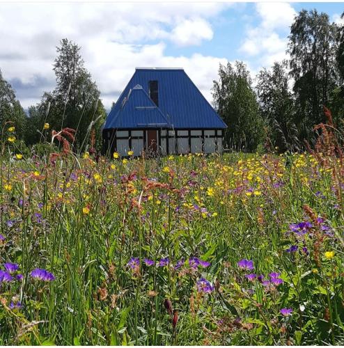 Book in Borgafjäll - New cabins for rent at the slalom slope