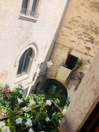 Residenza la meraviglia