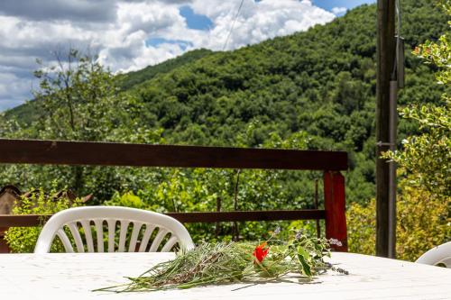 Iekārtas, Casa Palombara in Magliano deʼ Marsi