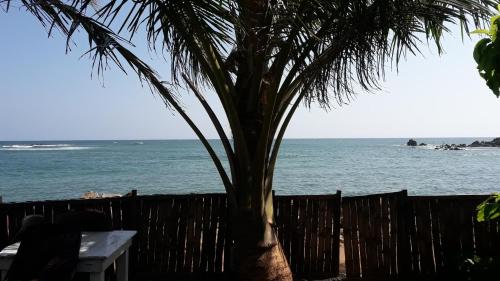 Seaside View - image 4