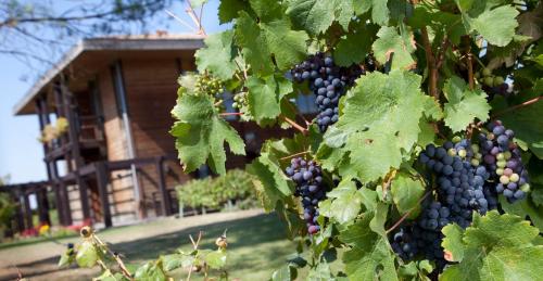 Résidence Les Vignes