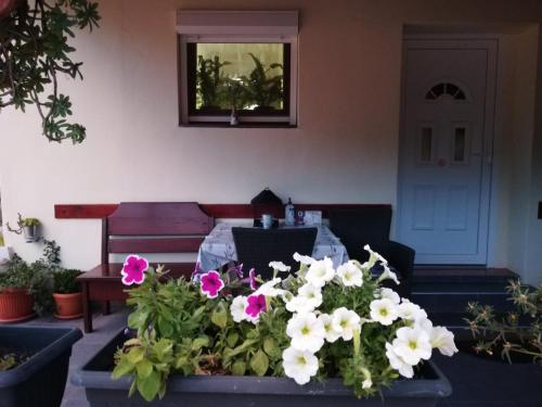 Apartman Rosa - image 12