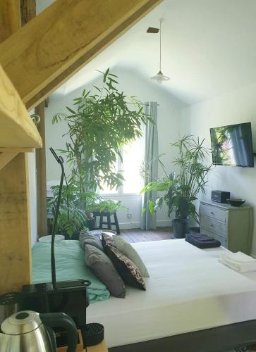 La petite maison du jardin d'Apollon - Chambre d'hôtes - Dourdan