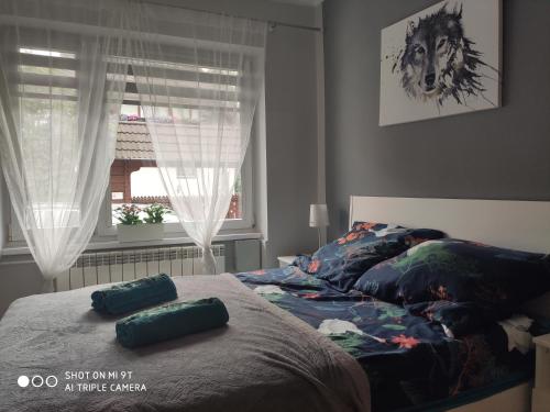 Apartament Tygrys, Zakopane (fotografie 10)