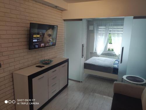 Apartament Tygrys, Zakopane (fotografie 7)