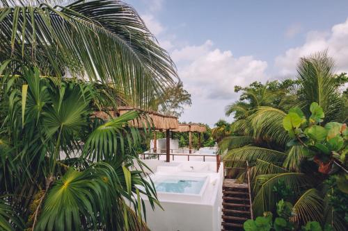 Chiringuito Tulum Hotel