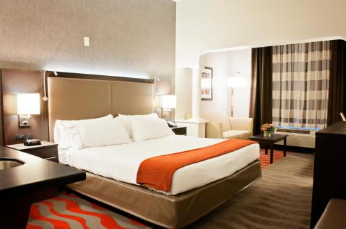 Holiday Inn Express Hotel & Suites Pittsburgh-South Side, an IHG Hotel