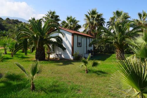 La Palma Apartments,a beachfront paradise!