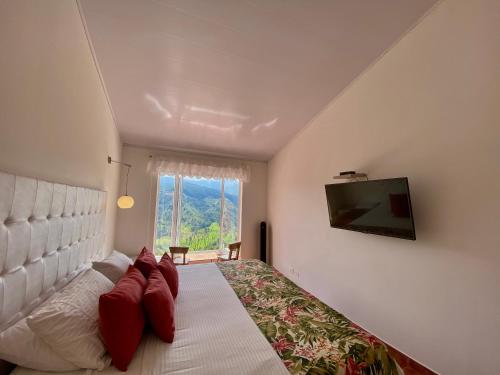 265567678 Hotel El Mirador del Cocora