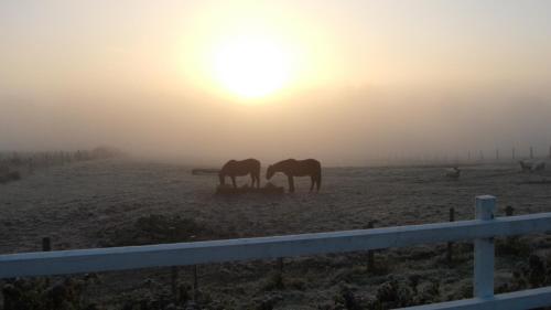 La Gaucherie aux Dames - image 9