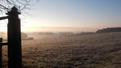 La Gaucherie aux Dames - image 6